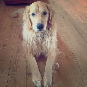 Meet your Posher, Karen